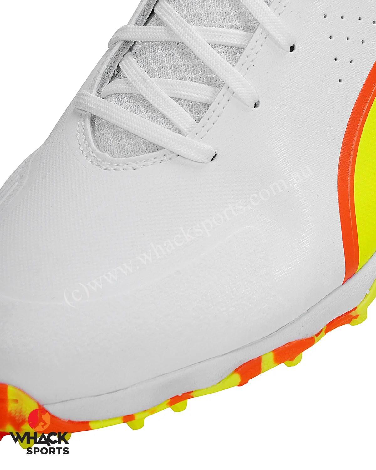Thumbnail 14