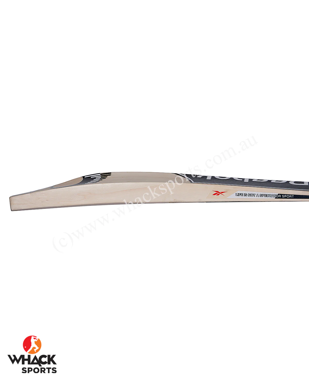 Thumbnail 18